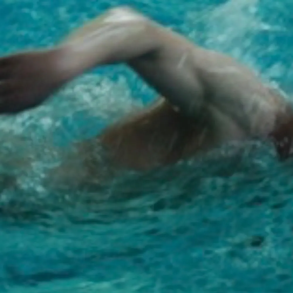 transplantrockstar.bsky.social's profile picture