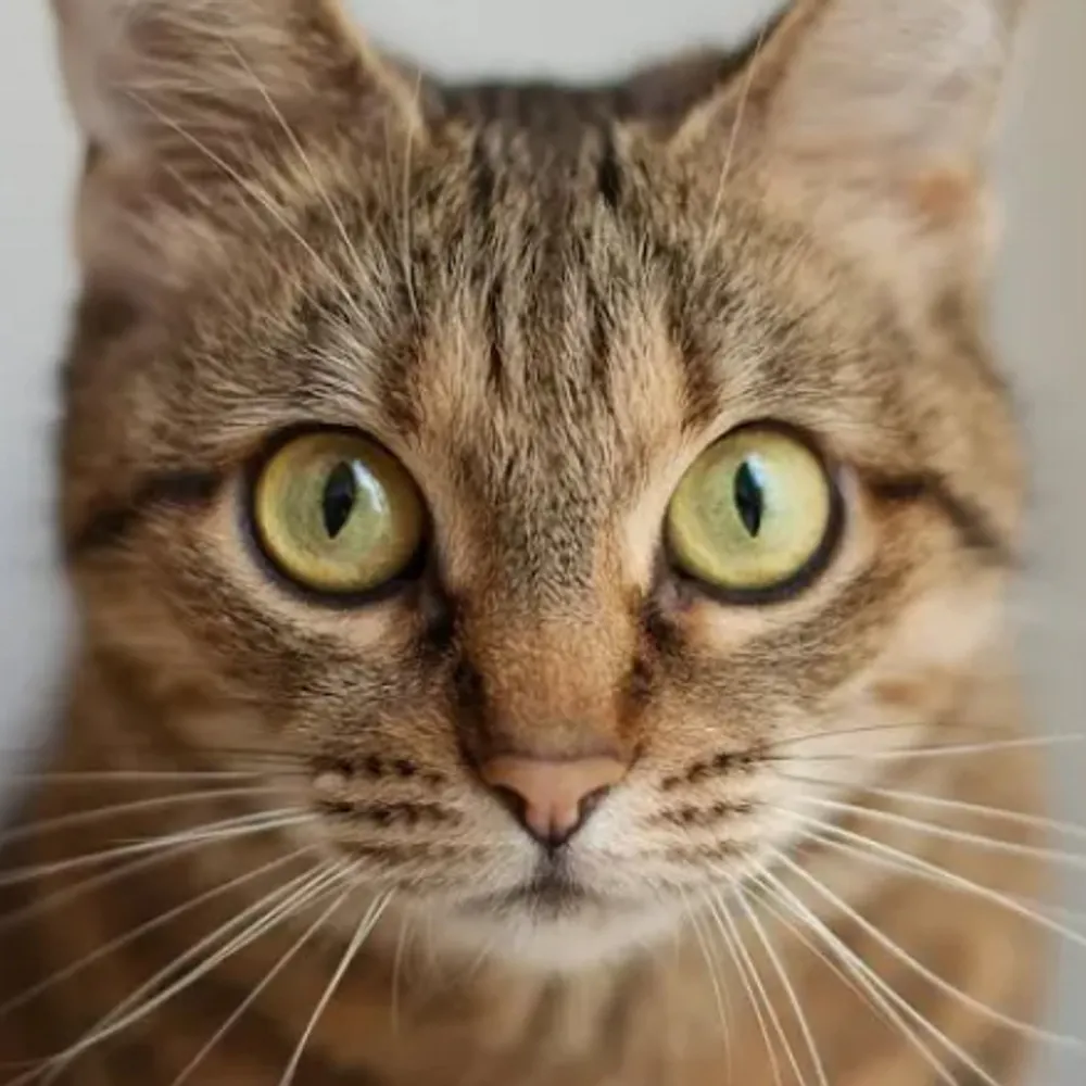 truthisconstant.bsky.social's profile picture