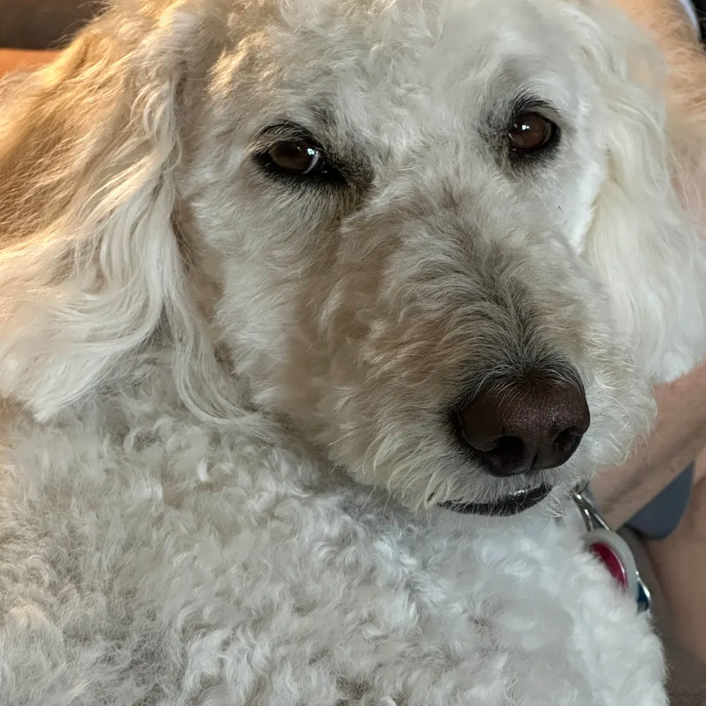 nevereverquit2.bsky.social's profile picture