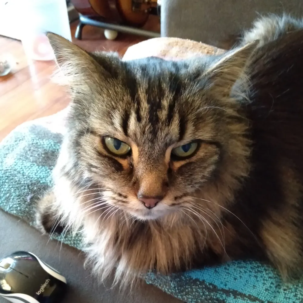 beckeegan.bsky.social's profile picture