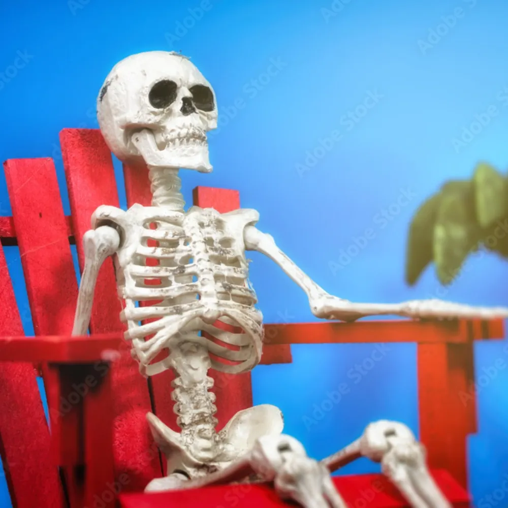 shawntk.bsky.social's profile picture