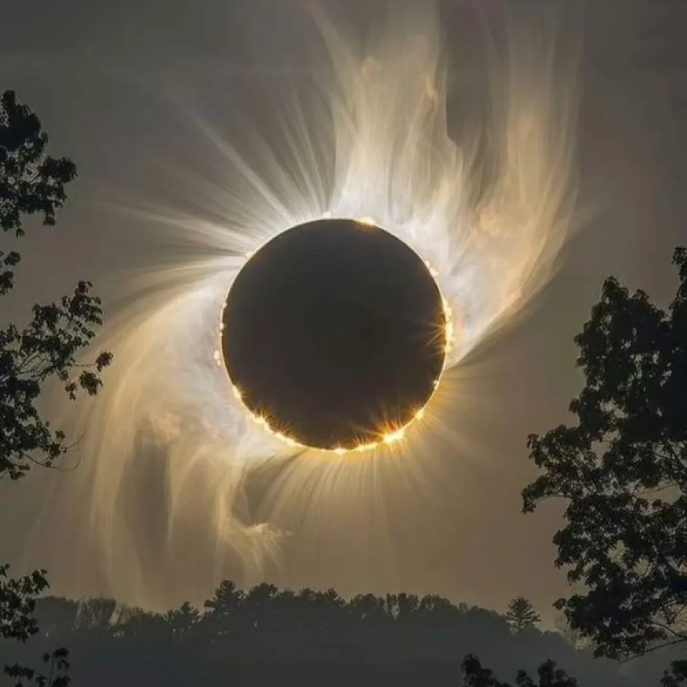 hegelian1.bsky.social's profile picture