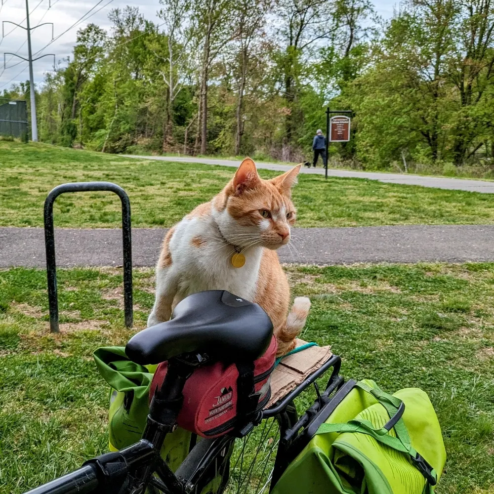 davidjmurphydjm.bsky.social's profile picture