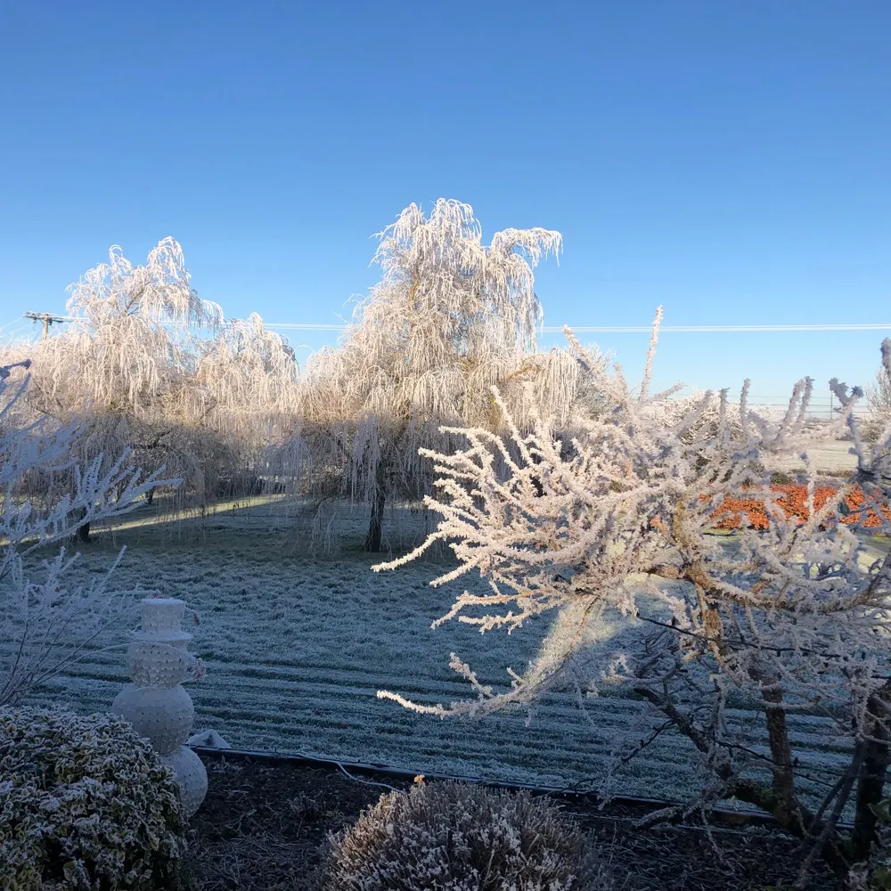 shaneoftheirish.bsky.social's profile picture