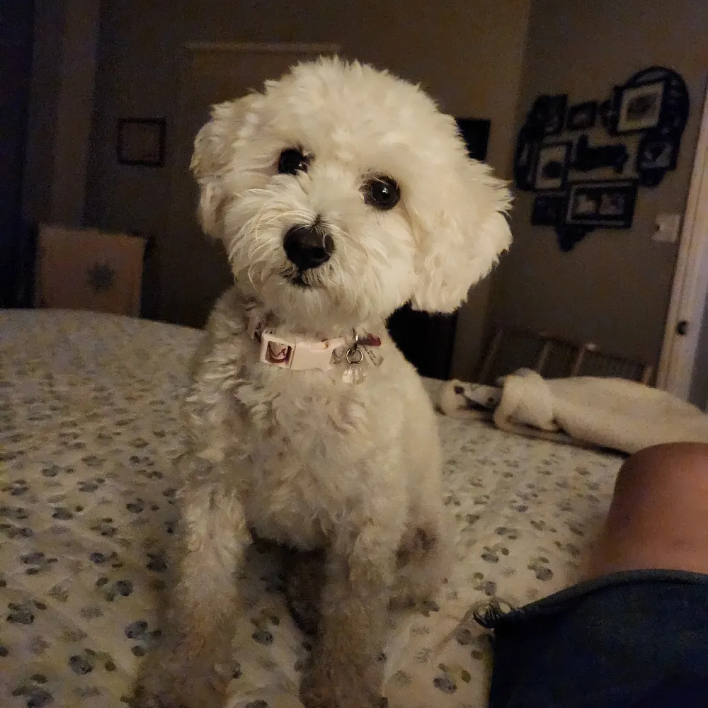 linusmom1026.bsky.social's profile picture