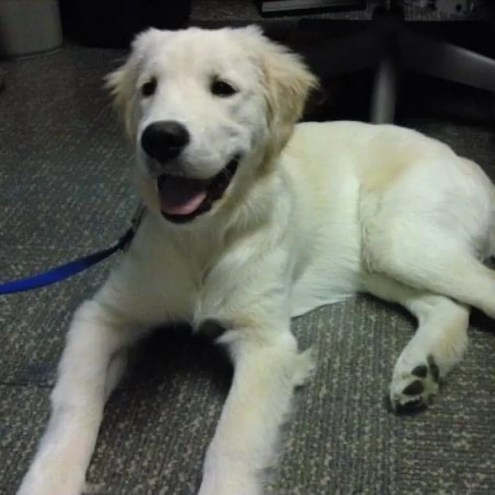 66jzmstr.bsky.social's profile picture