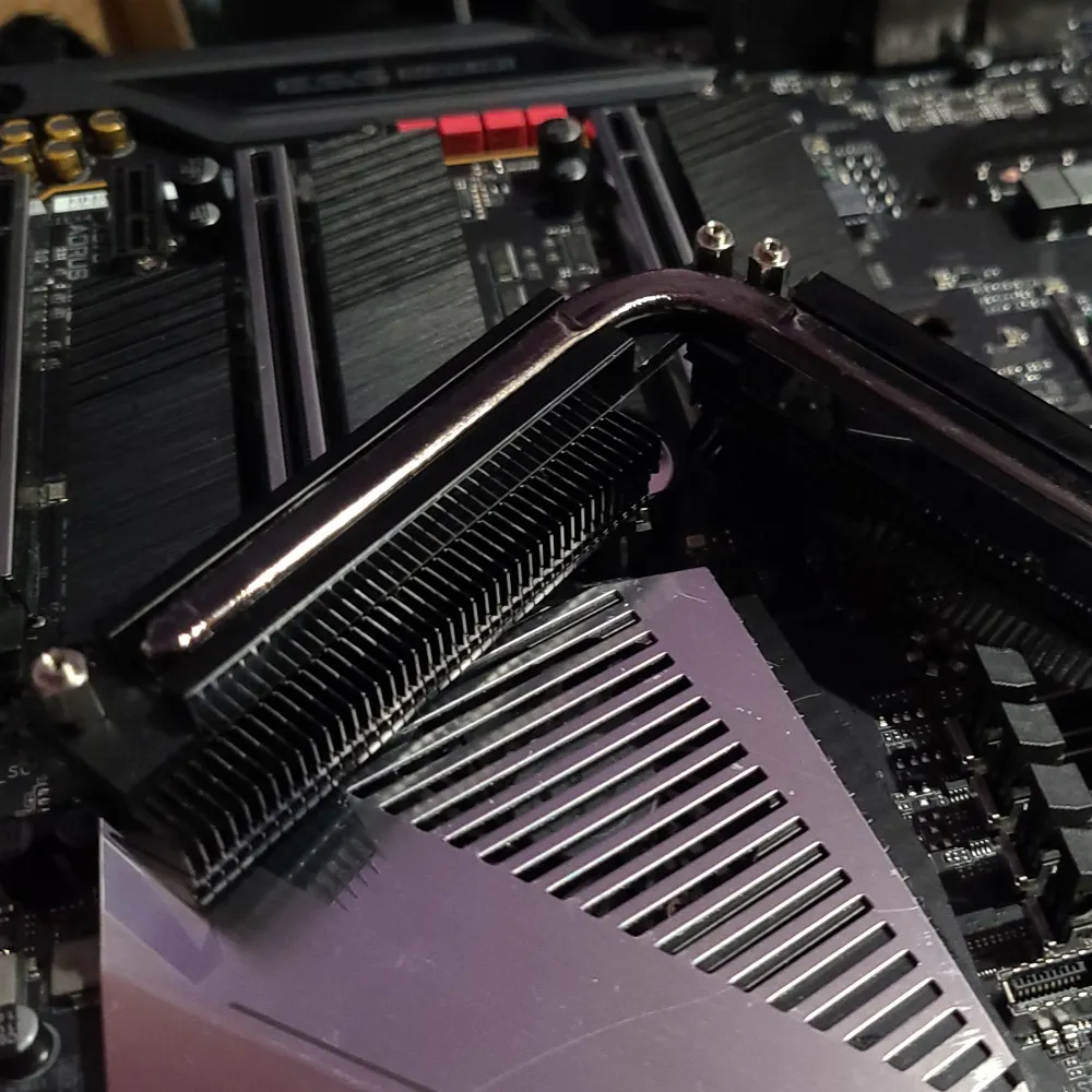 siberionhusky.bsky.social's profile picture