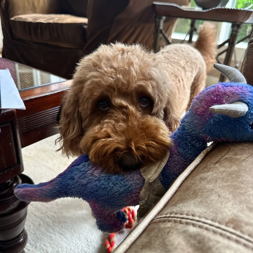 twtexas.bsky.social's profile picture