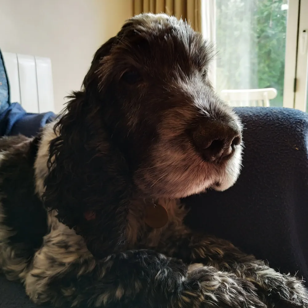 ledredman.bsky.social's profile picture