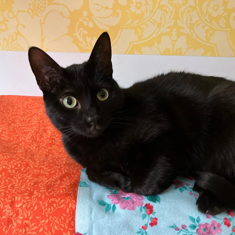 sweatyandfrantic.bsky.social's profile picture