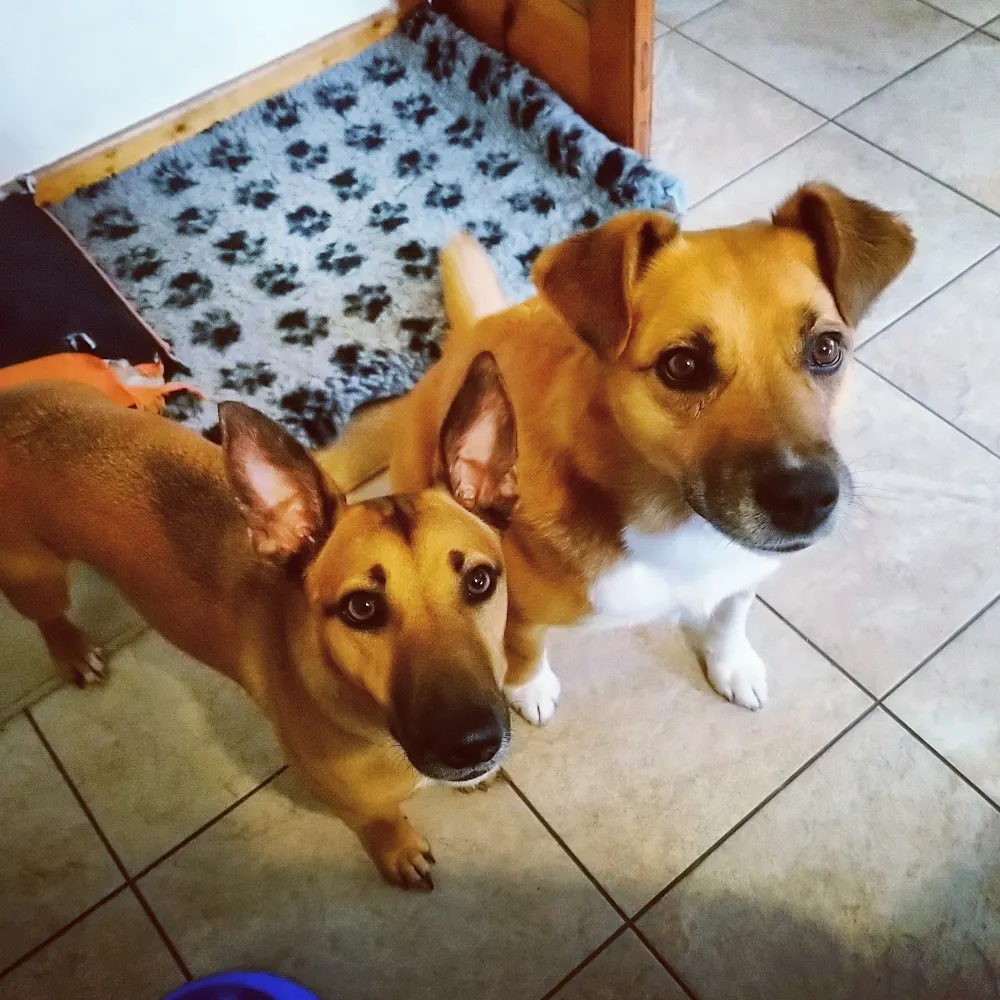 p-matic.bsky.social's profile picture