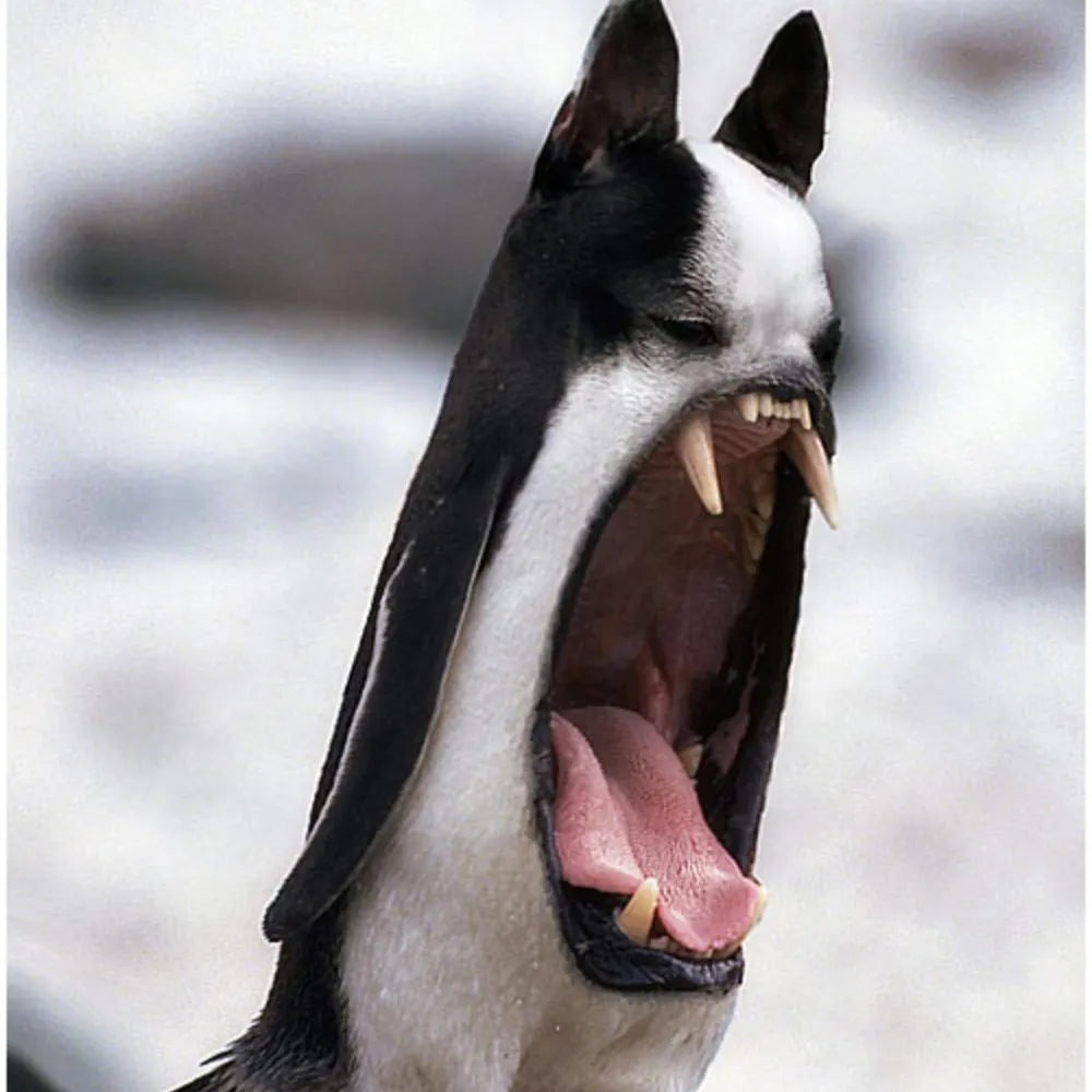 blatherscribe.bsky.social's profile picture