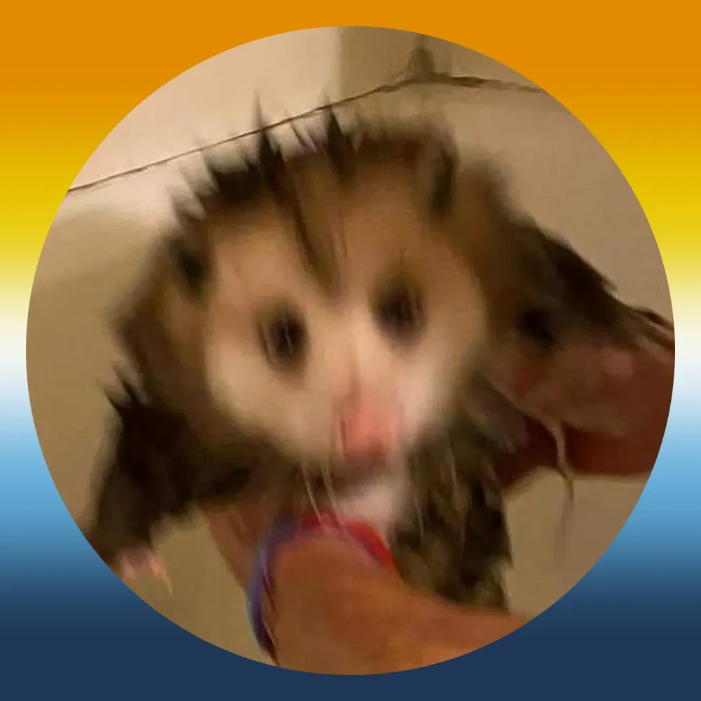 alsagone.bsky.social's profile picture