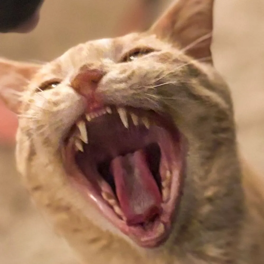 cmcd54.bsky.social's profile picture