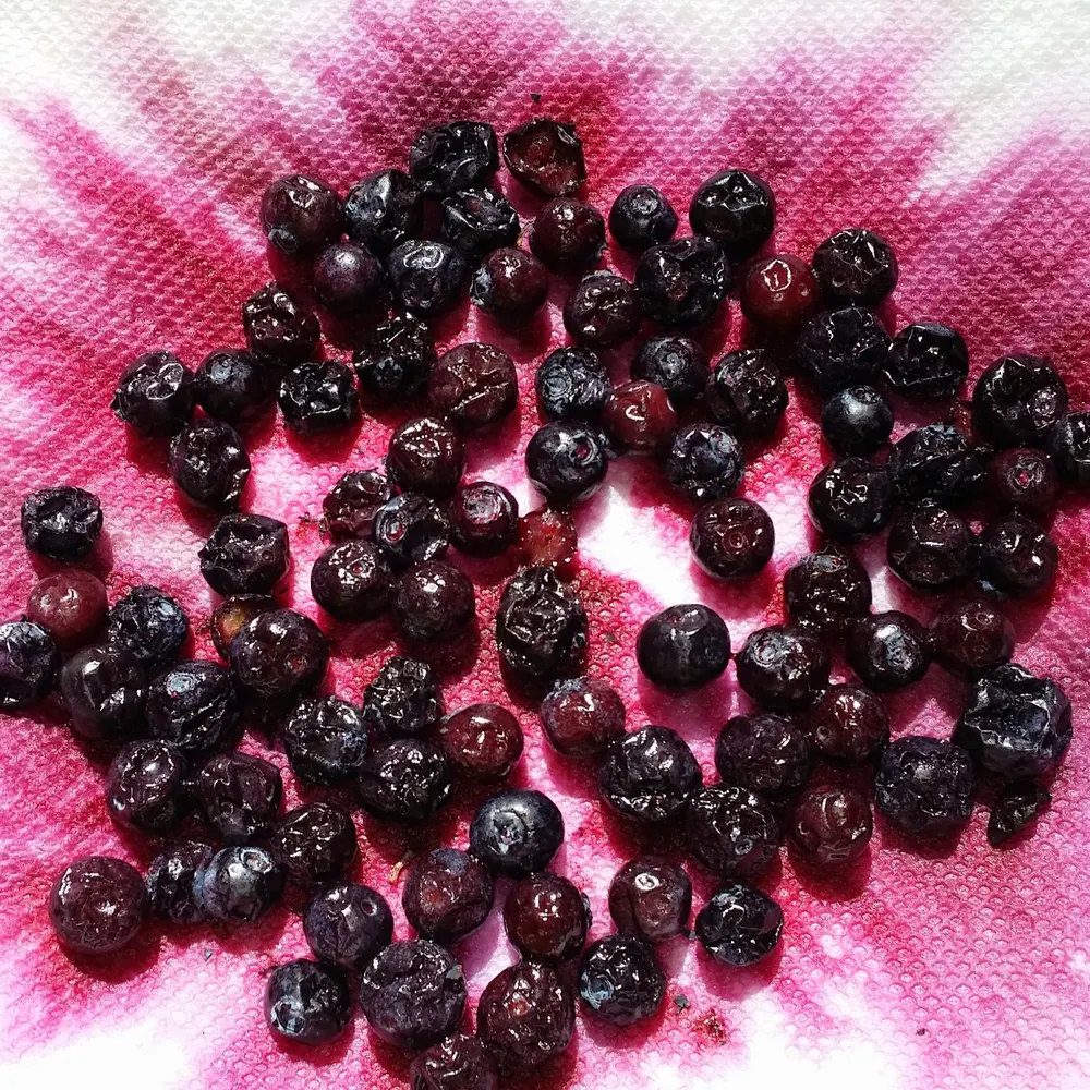 qbits4u.bsky.social's profile picture