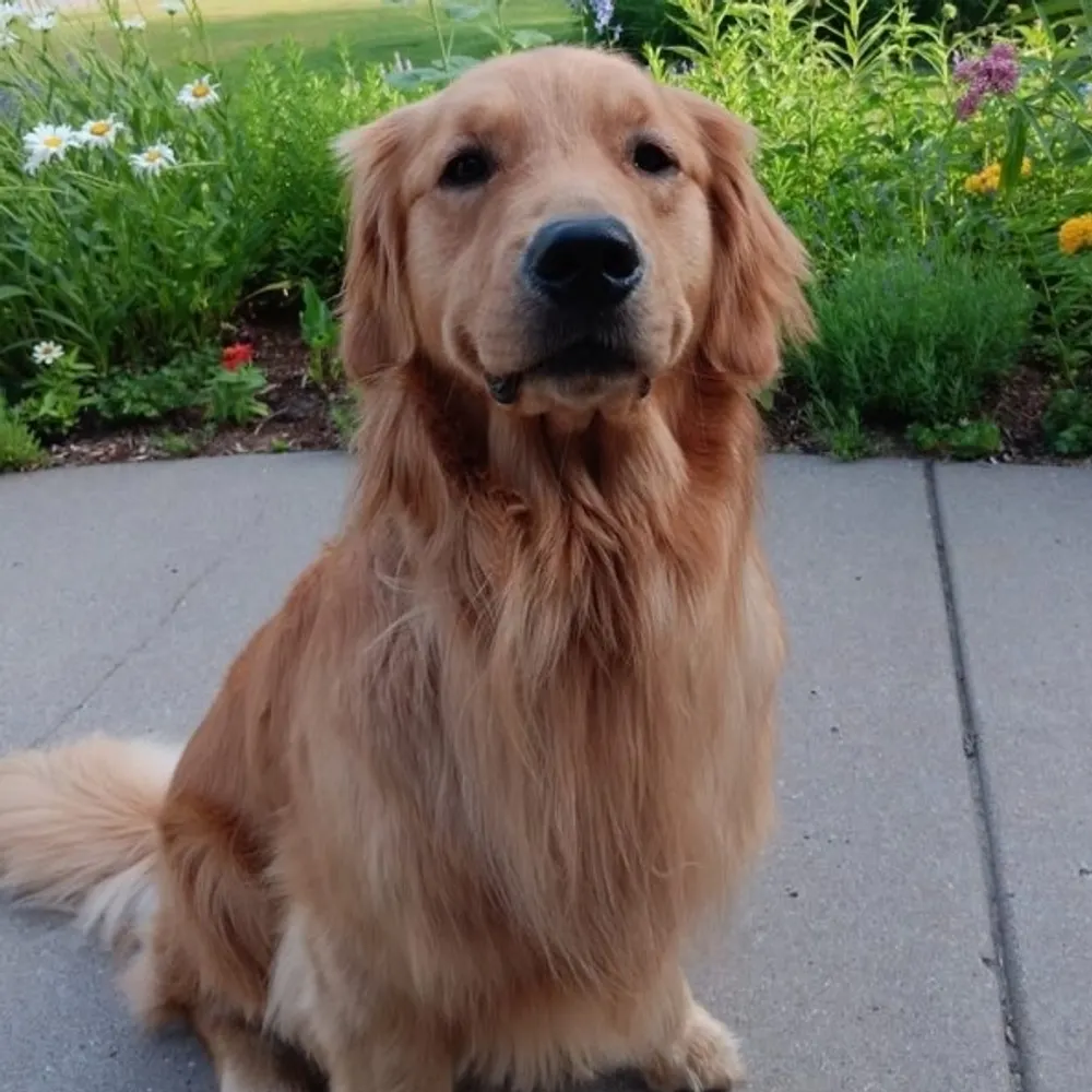 tinpottop.bsky.social's profile picture