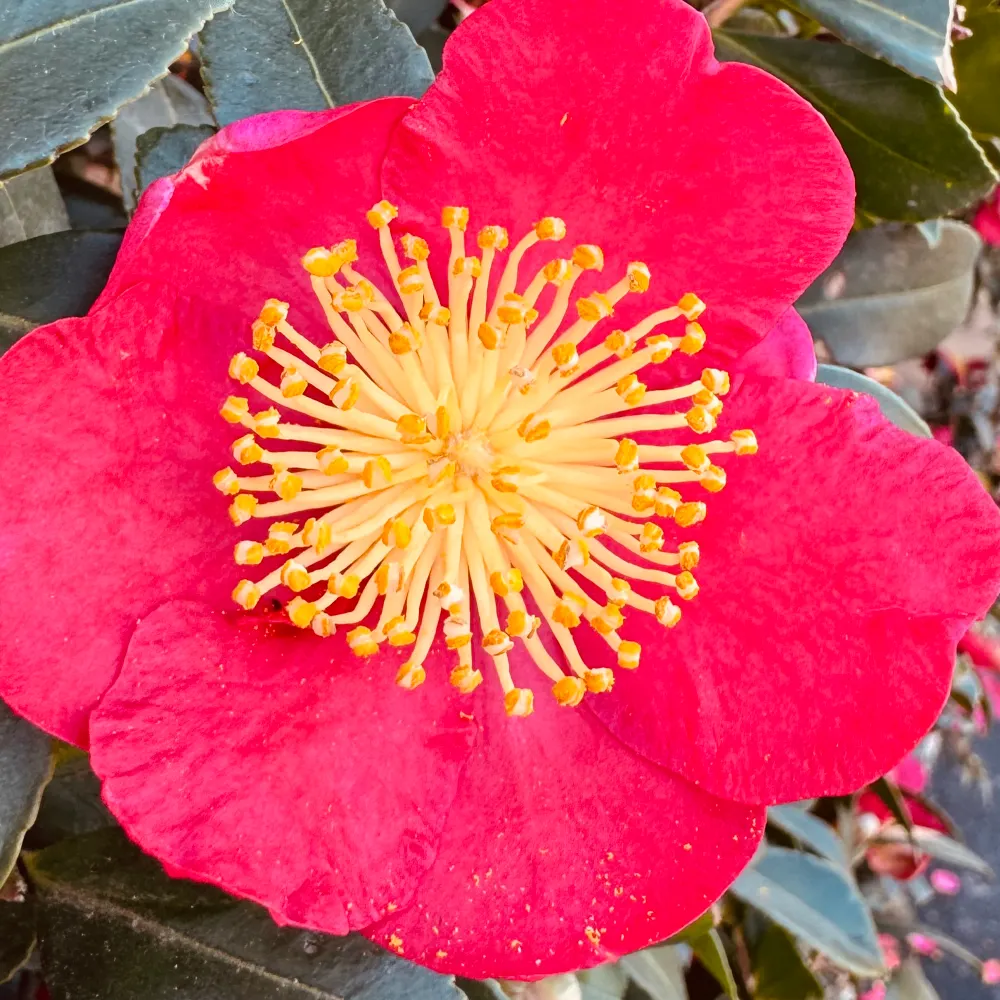 cosmosxx.bsky.social's profile picture