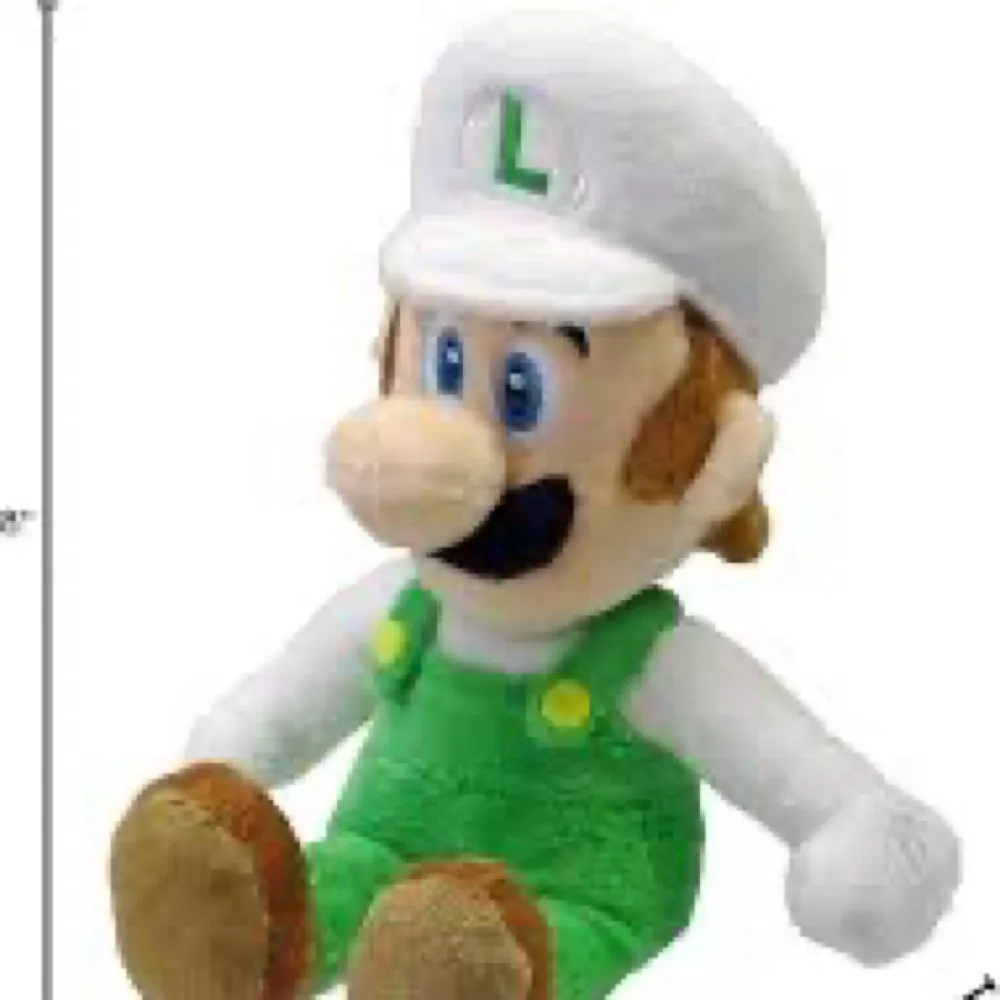 fireluigi.bsky.social's profile picture