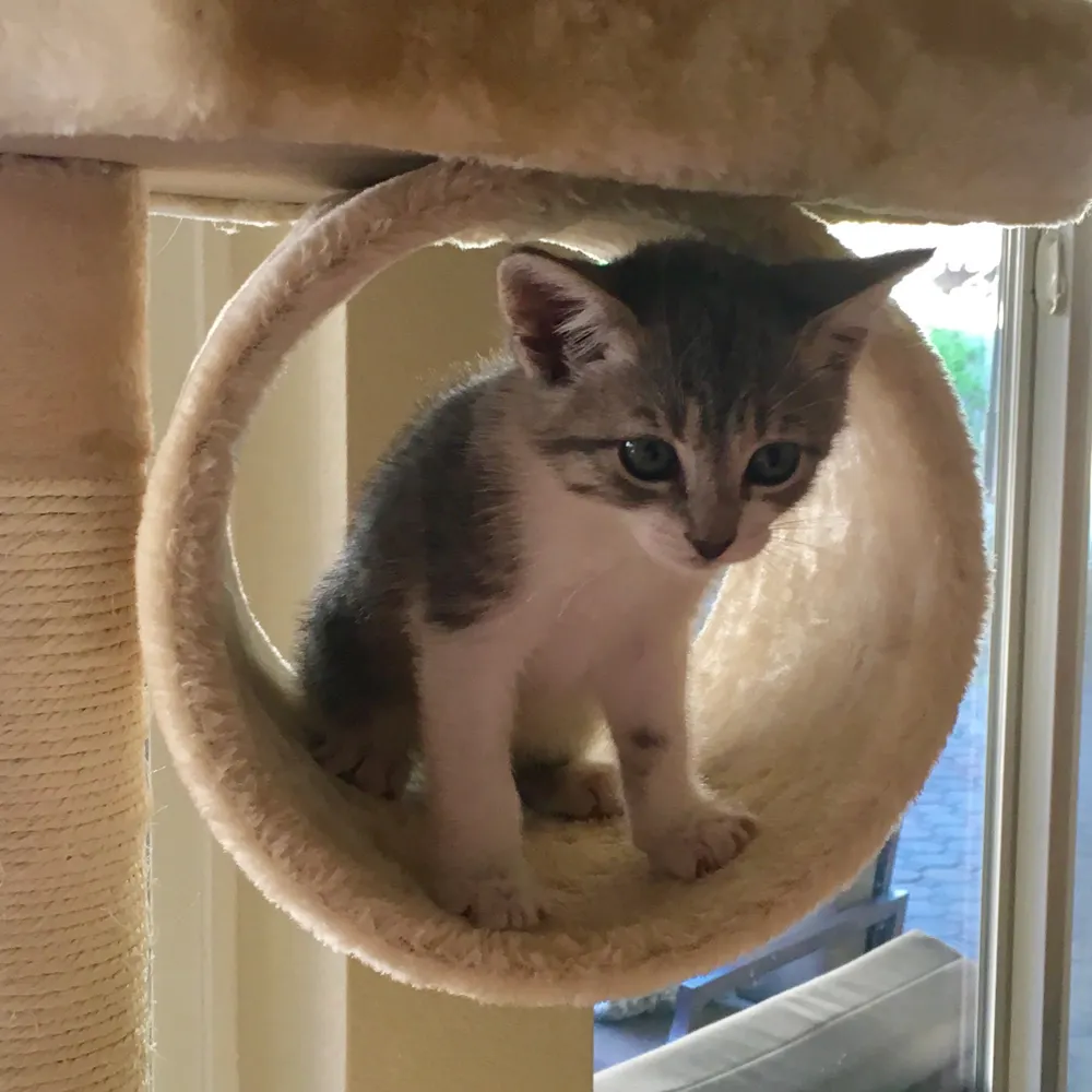 flnicolie.bsky.social's profile picture