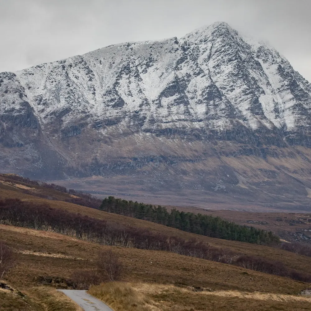 scott-macshlibber.bsky.social's profile picture