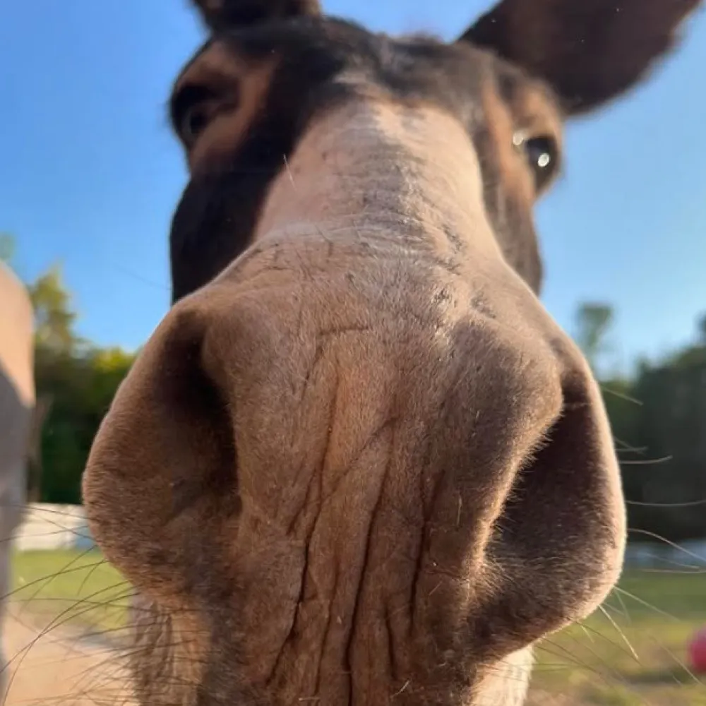 scottplace.bsky.social's profile picture