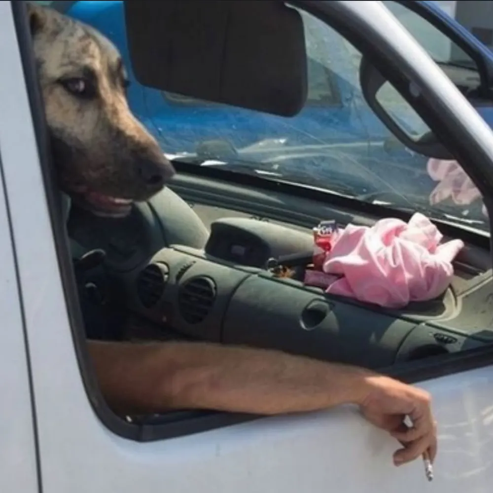 havepurlins.bsky.social's profile picture