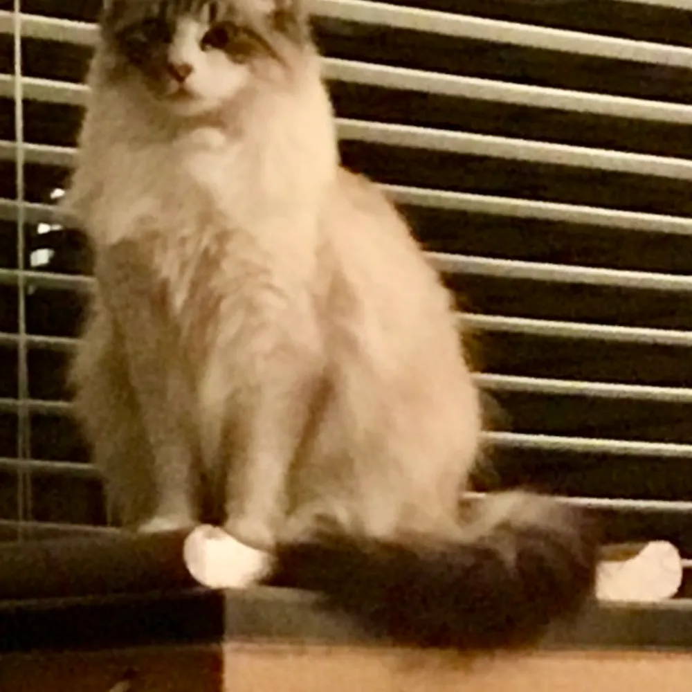 skygirl66.bsky.social's profile picture