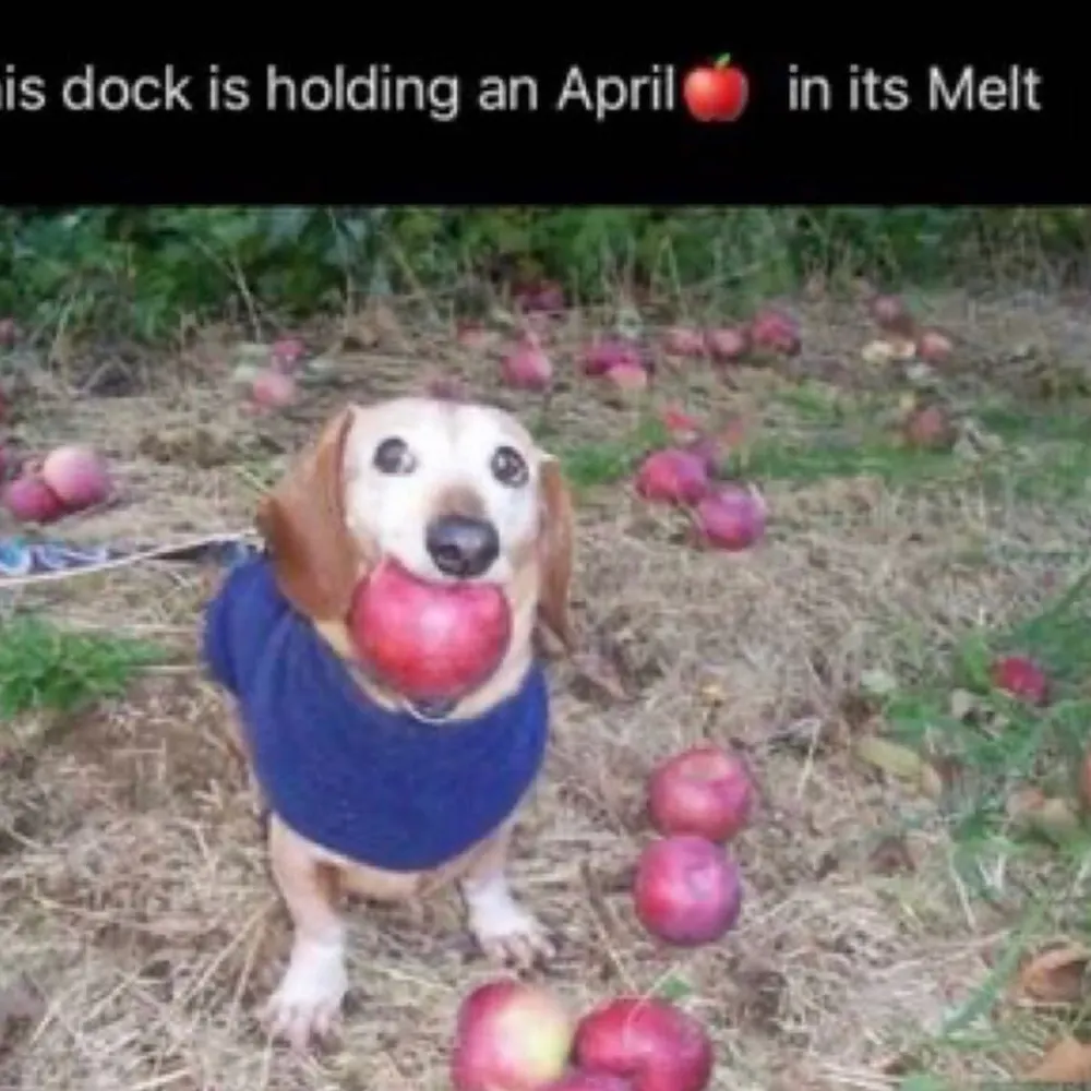 bestpostinger.bsky.social's profile picture