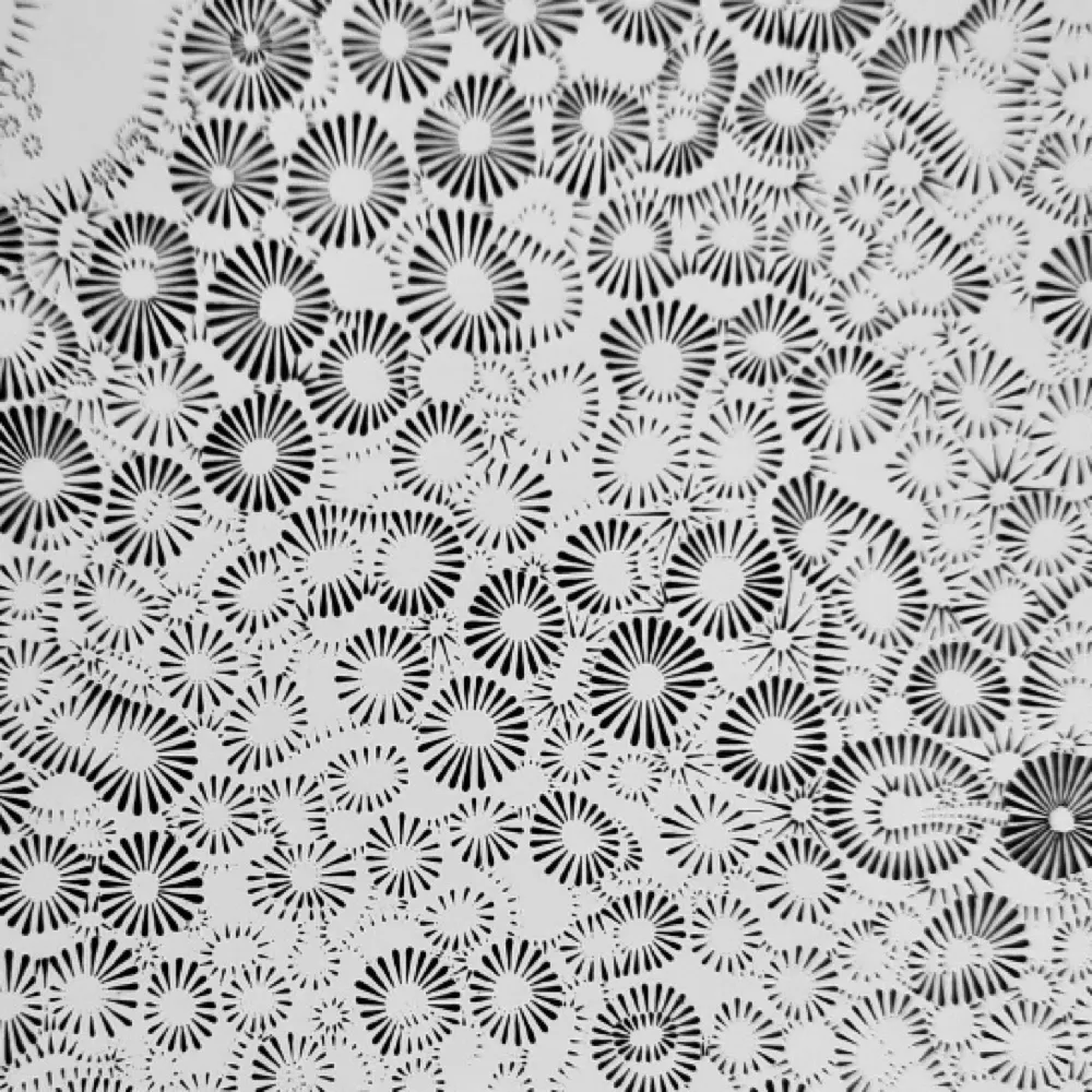 earthworkbec.bsky.social's profile picture