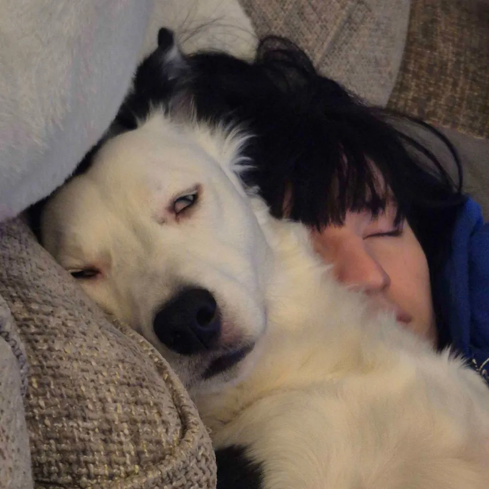 kate.lordfuckpuppy.social's profile picture