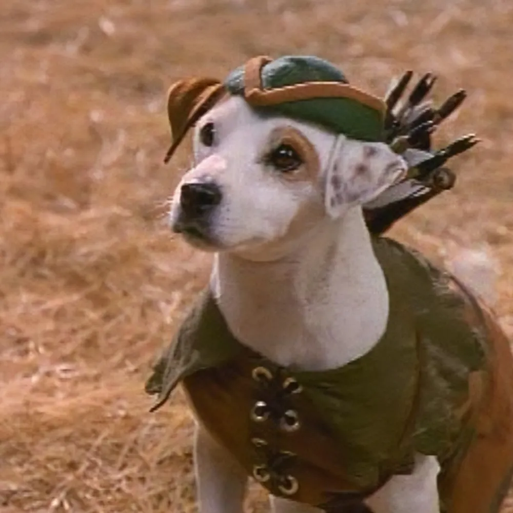 maddiec953.bsky.social's profile picture