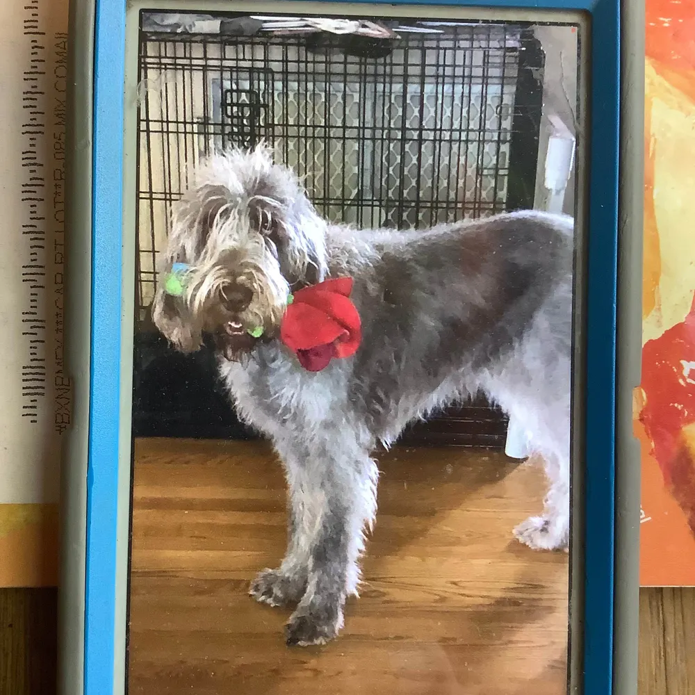 adalena.bsky.social's profile picture