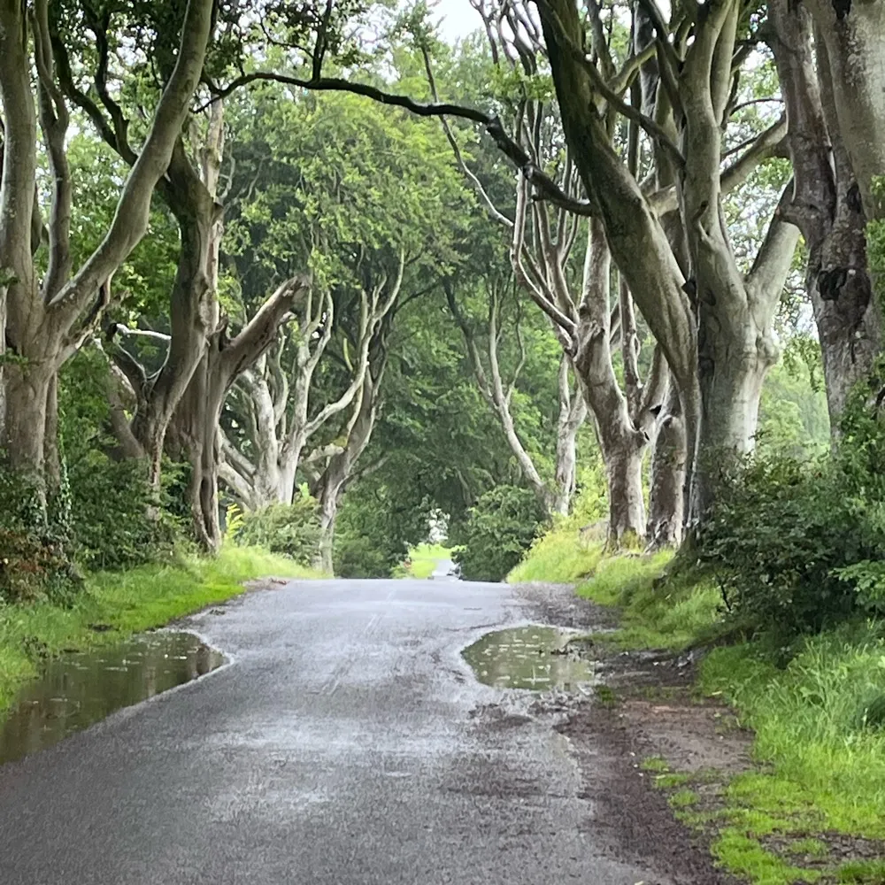 kking67.bsky.social's profile picture