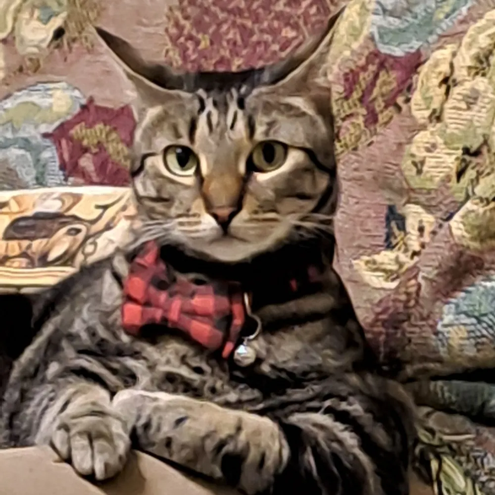 nappa61.bsky.social's profile picture