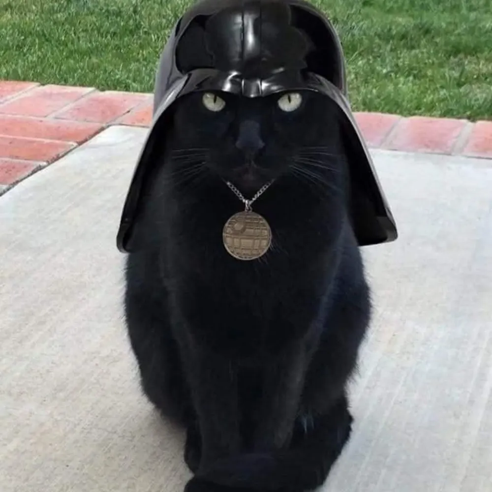 claymorez28.bsky.social's profile picture