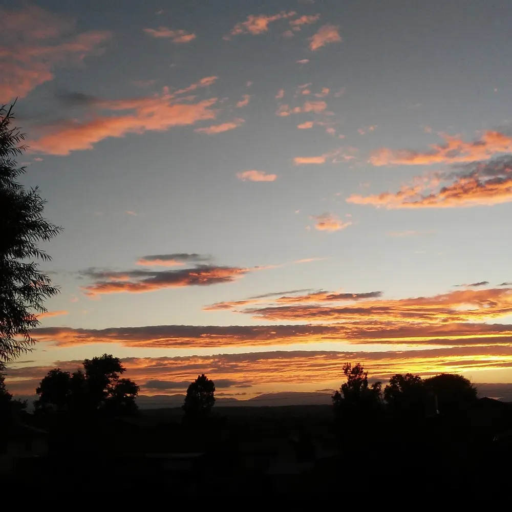 flashflood505.bsky.social's profile picture