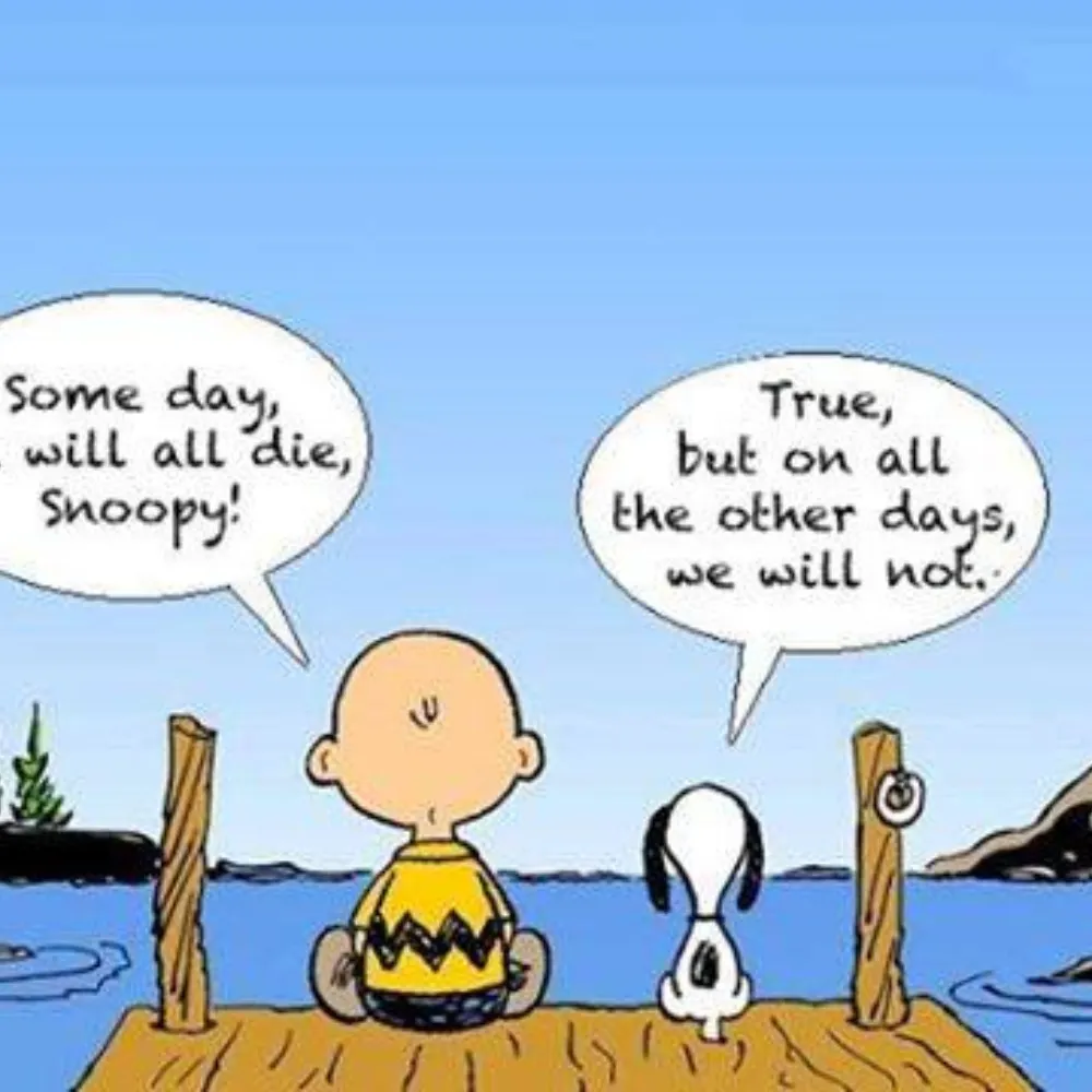 iglohhdirk.bsky.social's profile picture