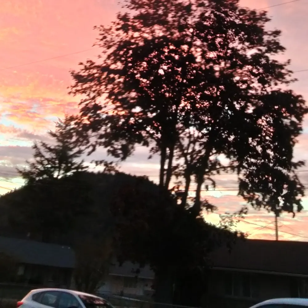 democracyforus.bsky.social's profile picture