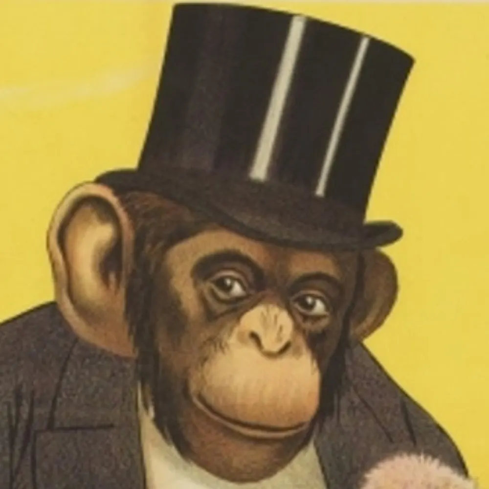 johansolo.bsky.social's profile picture