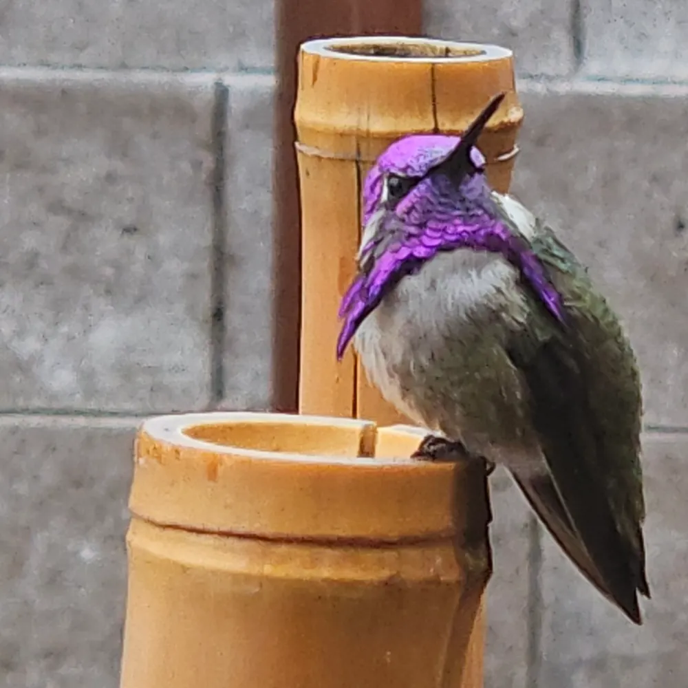 morepopcorn.bsky.social's profile picture