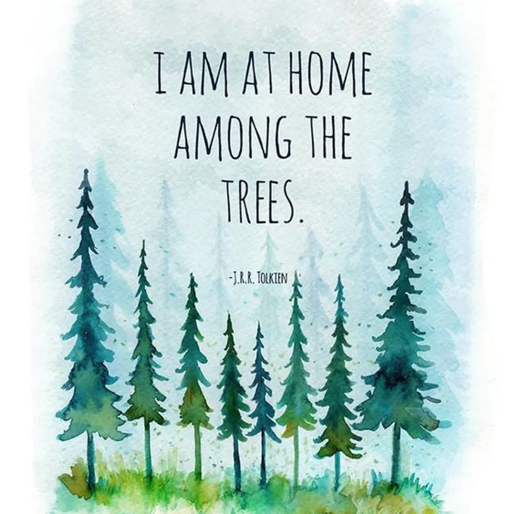 cottagedweller.bsky.social's profile picture