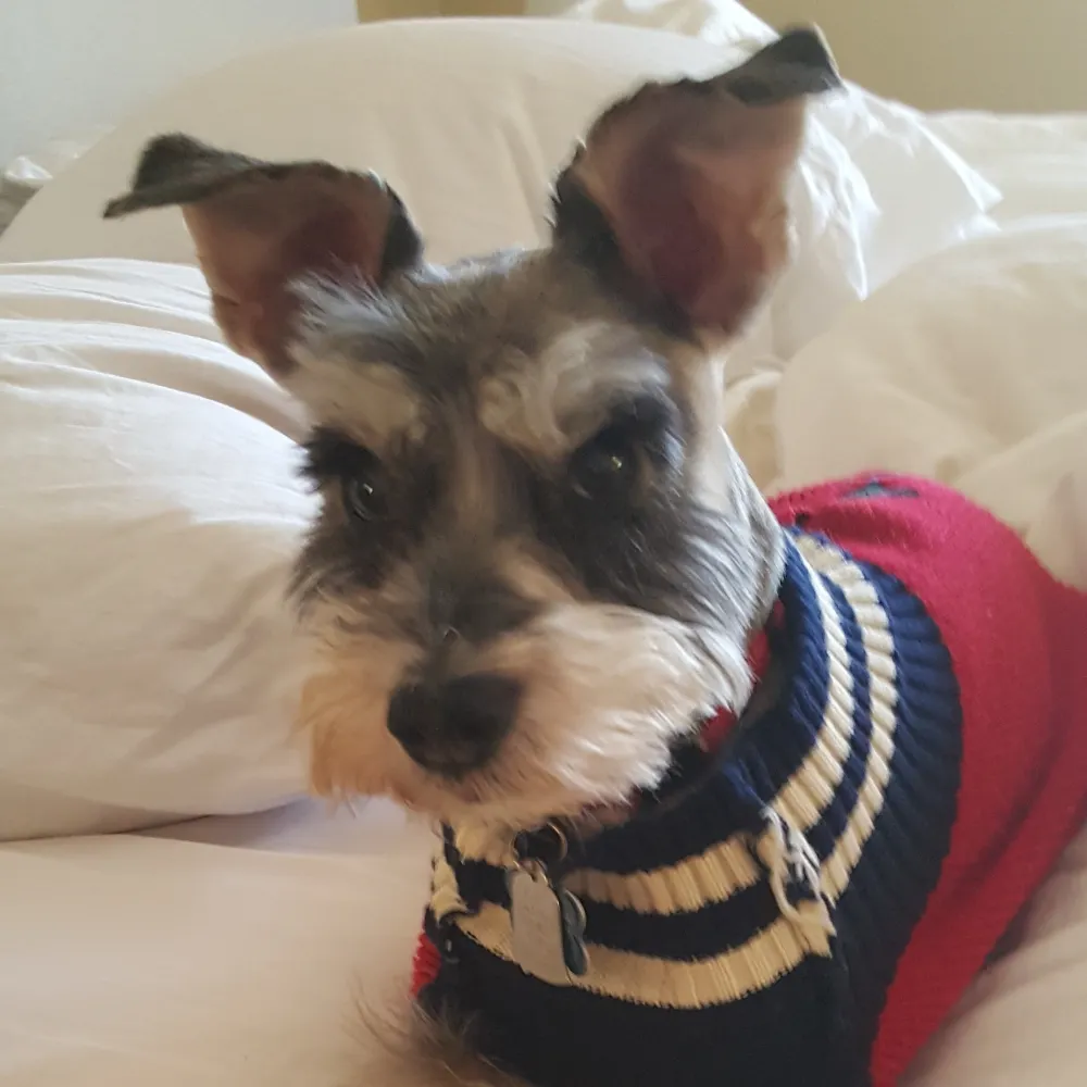 bluemeade7.bsky.social's profile picture