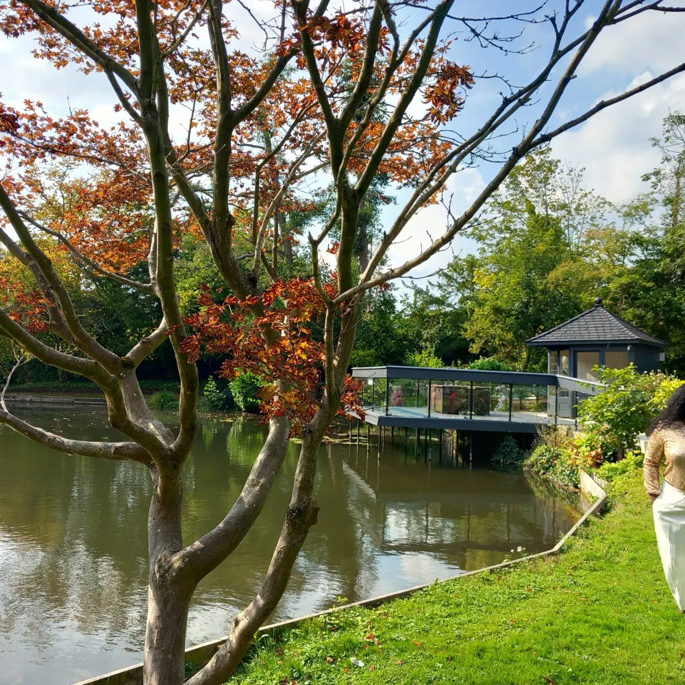 mistywaves.bsky.social's profile picture