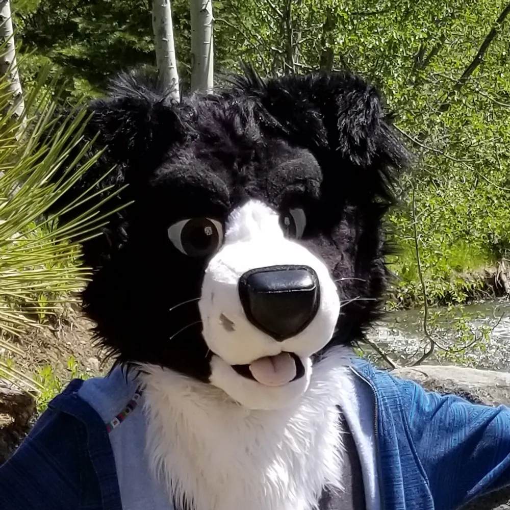 soluskrieger.bsky.social's profile picture