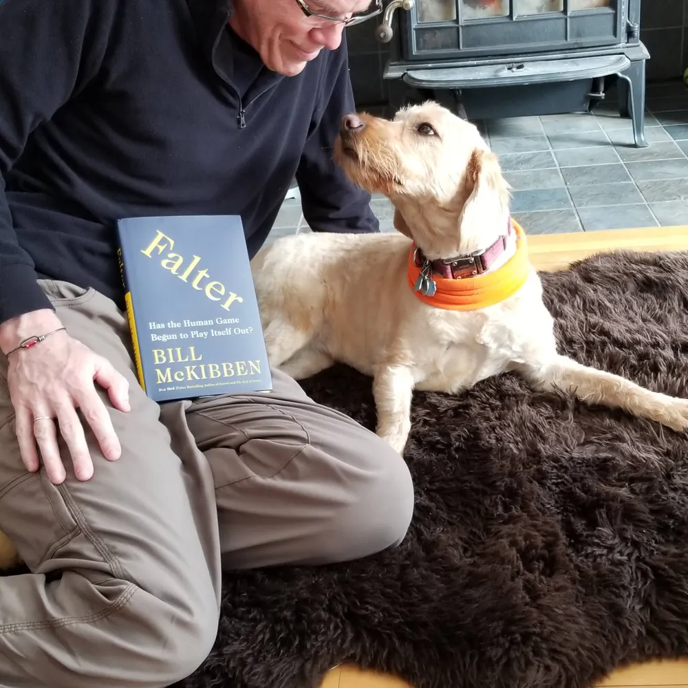 billmckibben.bsky.social's profile picture