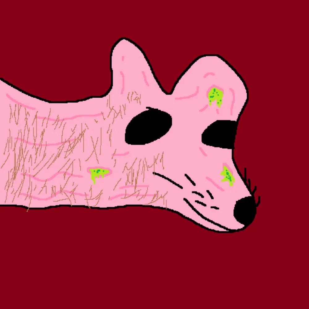 nickson1.bsky.social's profile picture