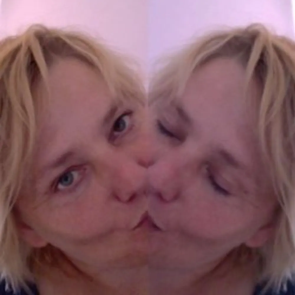 anlomedad.bsky.social's profile picture