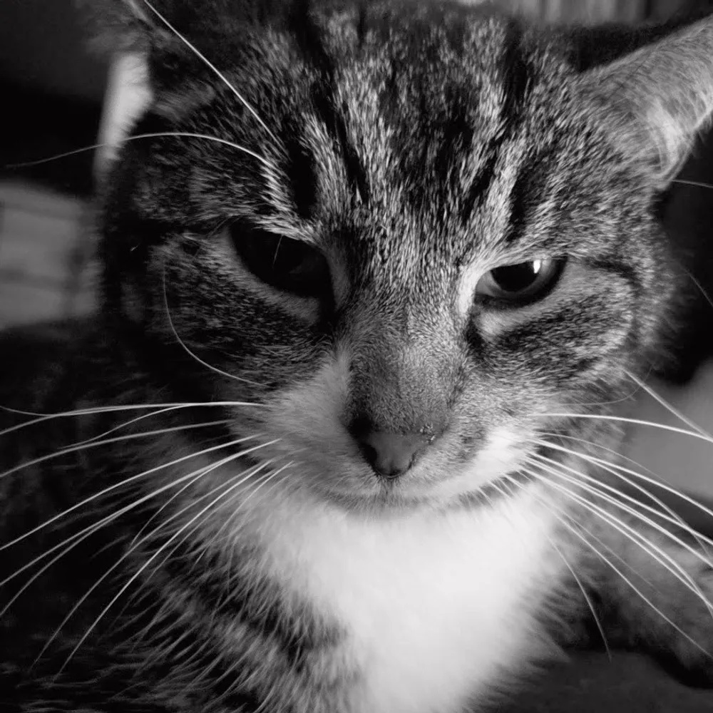 en-ri-que.bsky.social's profile picture