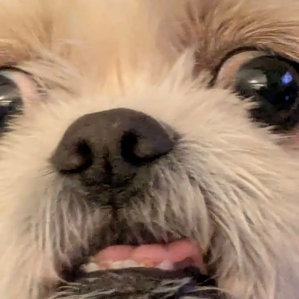 orangeskyshifter.bsky.social's profile picture