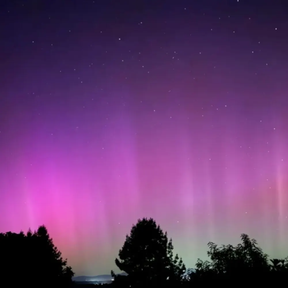 moonshottime.bsky.social's profile picture